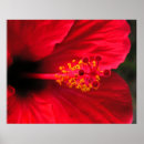 Suche nach tropische flora poster Grün
