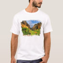 Suche nach zion Zion canyon