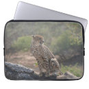 Suche nach südafrika laptop schutzhüllen Fotografie