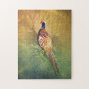 Suche nach fasan puzzle Vogel