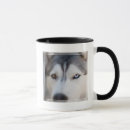 Suche nach alaskan malamute tassen Siberischer husky