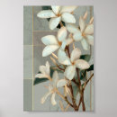 Suche nach weiße magnolien poster Magnolienblüte