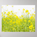 Suche nach feld poster Pflanze