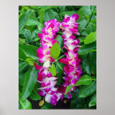 Suche nach leu poster Hawaii