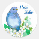 Suche nach bluebird aufkleber Blauvogel