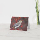 Suche nach waxwing karten Tier