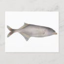 Suche nach niger postkarten Fluss