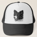 Suche nach collie kappen Tier