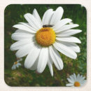 Suche nach summen untersetzer Biene