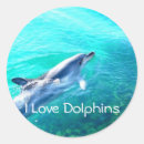 Suche nach delphin liebe aufkleber Delfin