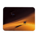 Suche nach namib magnete Wüste