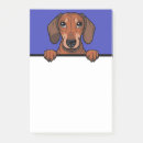 Suche nach lustige hunde post it Jede person