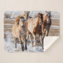 Suche nach pferde schnee decken Quarter horse