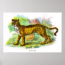Suche nach vintage streifen poster Tierwelt