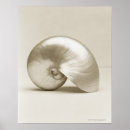 Suche nach nautilus poster Meer