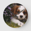 Suche nach cavalier king charles spaniel kunst Dogs