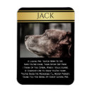 Suche nach hunde beileid magnete Für haustiere