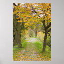 Suche nach pfalz poster Mermaid
