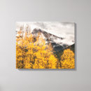 Suche nach aspen leinwandbilder Wald