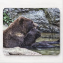 Suche nach grizzlybären mousepads Graubär