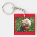 Suche nach hammie Nagetier