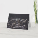 Suche nach wolf pack karten Tierwelt