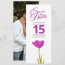 Suche nach lila tulpe Gäste