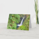 Suche nach jamie karten Baum
