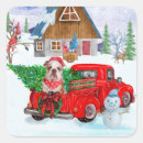 Suche nach englische bulldogge aufkleber Jede person
