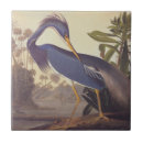 Suche nach audubon fliesen John james audubon