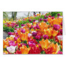 Suche nach keukenhof gärten postkarten Lisse