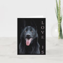 Suche nach schwarzer schäferhund karten Kürbisfeld