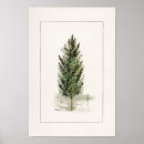 Suche nach pear poster Birne