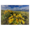 Suche nach berge schneidebrettchen Landschaft