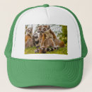 Suche nach lemur accessoires Foto