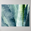 Suche nach wüsten pflanze poster Grün