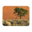 Suche nach namib magnete Natur