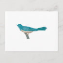 Suche nach kuckuck postkarten Vögel