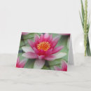 Suche nach rosa wasserlilien karten Natur