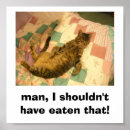 Suche nach bauch poster Katze