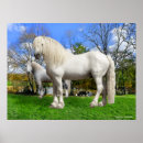 Suche nach percheron poster Natur