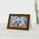 Suche nach shih tzu geburtstag karten Freundin