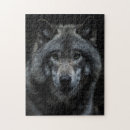 Suche nach grauer wolf puzzle Wald