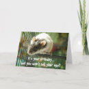 Suche nach niedliche ratte karten Spaß