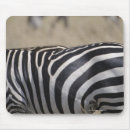 Suche nach tierhaut mousepads Wild lebende tiere