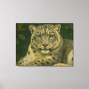 Suche nach schneeleopard leinwandbilder Leopardin