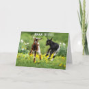 Suche nach 40 karten Ehefrau