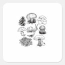 Suche nach dunkler wald aufkleber Goblincore