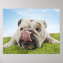 Suche nach legs poster Natur