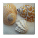 Suche nach muscheln fliesen Für sie